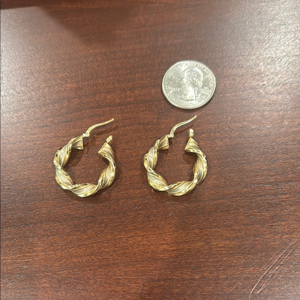 Elegant Gold Hoop Earrings